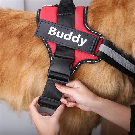 dog safety harness testing